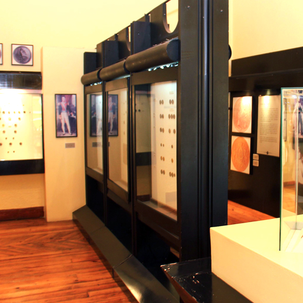 Museos de Numismatica